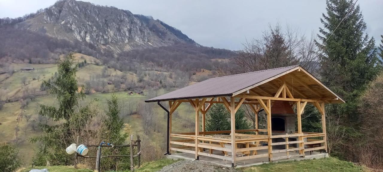 Cabana Belvedere Dragoslavele Bagian luar foto